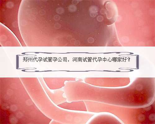 郑州代孕试管孕公司，河南试管代孕中心哪家好？