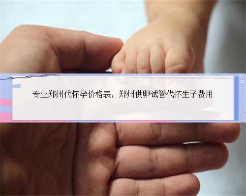 专业郑州代怀孕价格表，郑州供卵试管代怀生子费用