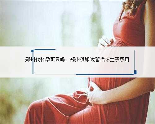 郑州代怀孕可靠吗，郑州供卵试管代怀生子费用