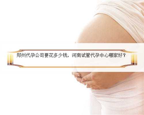 郑州代孕公司要花多少钱，河南试管代孕中心哪家好？