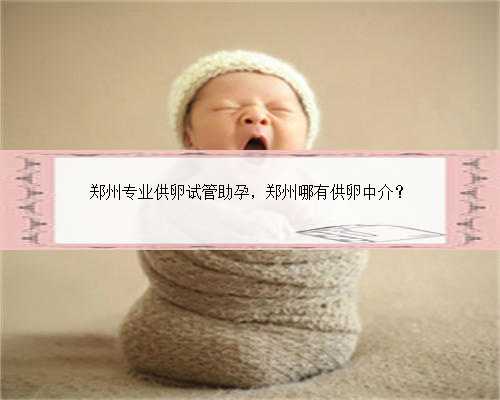 郑州专业供卵试管助孕，郑州哪有供卵中介？