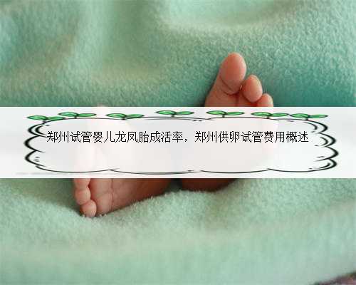 郑州试管婴儿龙凤胎成活率，郑州供卵试管费用概述