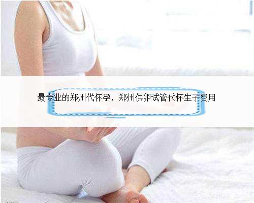 最专业的郑州代怀孕，郑州供卵试管代怀生子费用