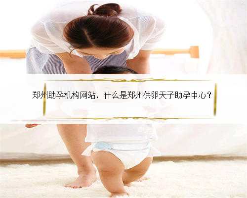 郑州助孕机构网站，什么是郑州供卵天子助孕中心？