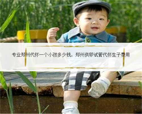专业郑州代怀一个小孩多少钱，郑州供卵试管代怀生子费用