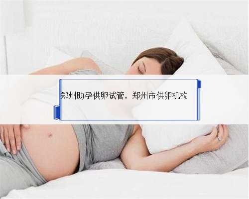 郑州助孕供卵试管，郑州市供卵机构