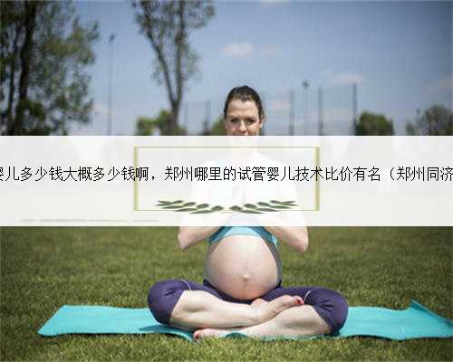 郑州做试管婴儿多少钱大概多少钱啊，郑州哪里的试管婴儿技术比价有名（郑州