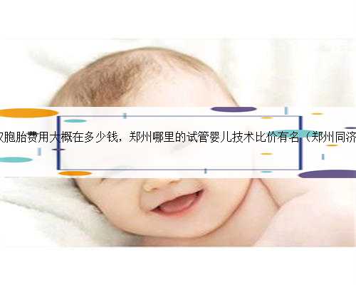 郑州做试管双胞胎费用大概在多少钱，郑州哪里的试管婴儿技术比价有名（郑州