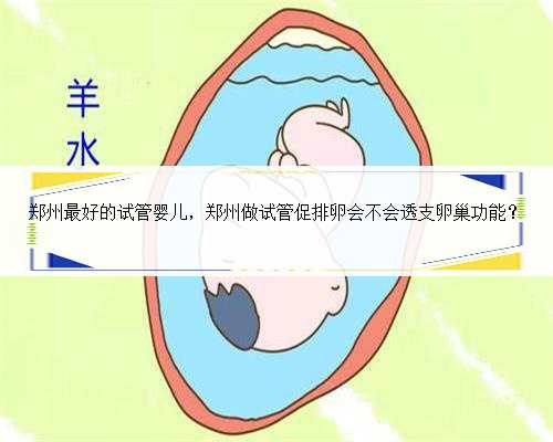 郑州最好的试管婴儿，郑州做试管促排卵会不会透支卵巢功能？
