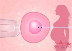 郑州代孕助孕套餐，新生儿怎样在郑州入户