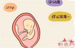 郑州有偿助孕机构，郑州试管婴儿多少钱啊