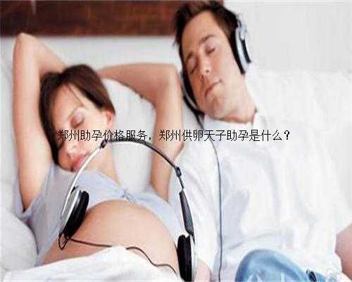 郑州助孕价格服务，郑州供卵天子助孕是什么？